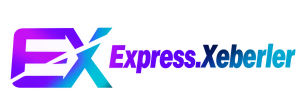 ex_logo